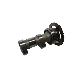 Wałek rozrządu (ssący) Kawasaki KXF 450 HOT CAMS HC 2187-2IN Wybór klientów
