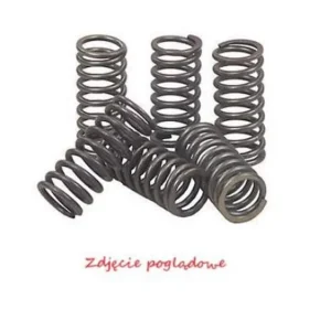 Wysoka jakość Sprężyny sprzęgłowe Kawasaki KLX 450R, KX 450F PSYCHIC MX-03200A
