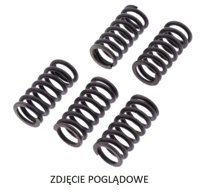 Dostępne od ręki Sprężyny sprzęgłowe Kawasaki ZZR 1400 TRW MEF333-6