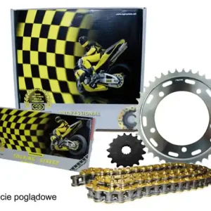 Do wyczerpania zapasów REGINA ZESTAW NAPĘDOWY DUCATI MONSTER 900 (00-02) (15/38/100/520ZRP) ŁAŃCUCH DO 1000CCM ZŁOTY (Z-RING), ZĘBATKA P/T SUNSTAR