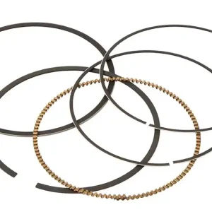 Pierścienie (średnica 95MM) (KPL.) Vertex 590395000001 Wysoka jakość