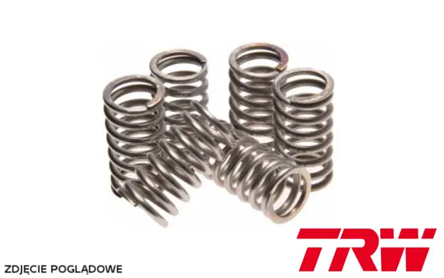 Bestseller TRW ZF SPRĘŻYNY SPRZĘGŁOWE KTM SX 85 03-17, YAMAHA DT 80 85-97, YZ 80 77-85, YZ 85 98-20, DT 125 91-06, TDR 125 93-02, TT-R 125 00-11, TZR 125 88-97, XT 125 05-12, YFS 200 BLASTER 88-07, FZR 600 GENESIS 89-94, (EBS042)